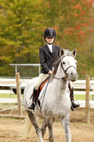 Walk/Trot and Walk/Trot/Canter